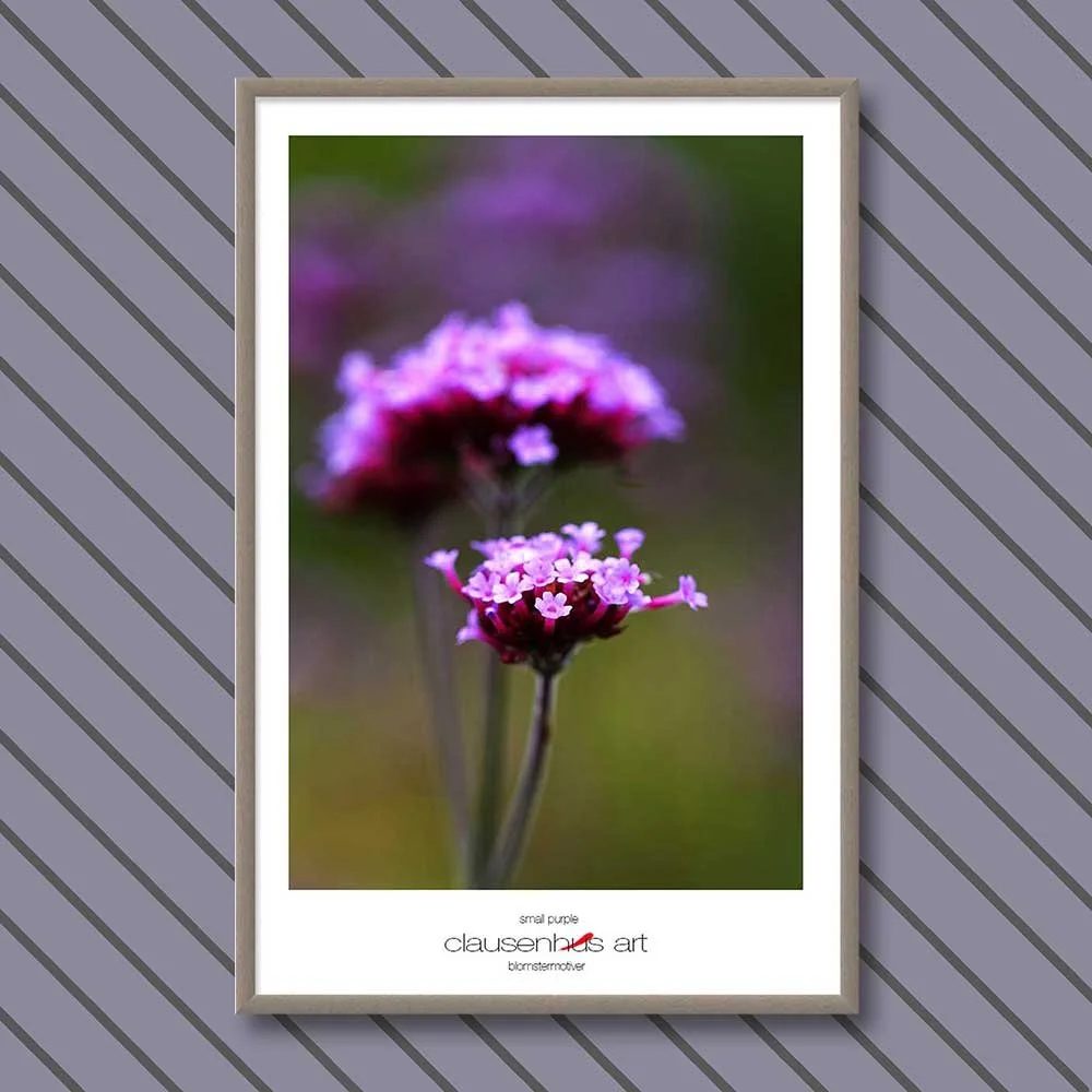 small-purple-copy.jpg
