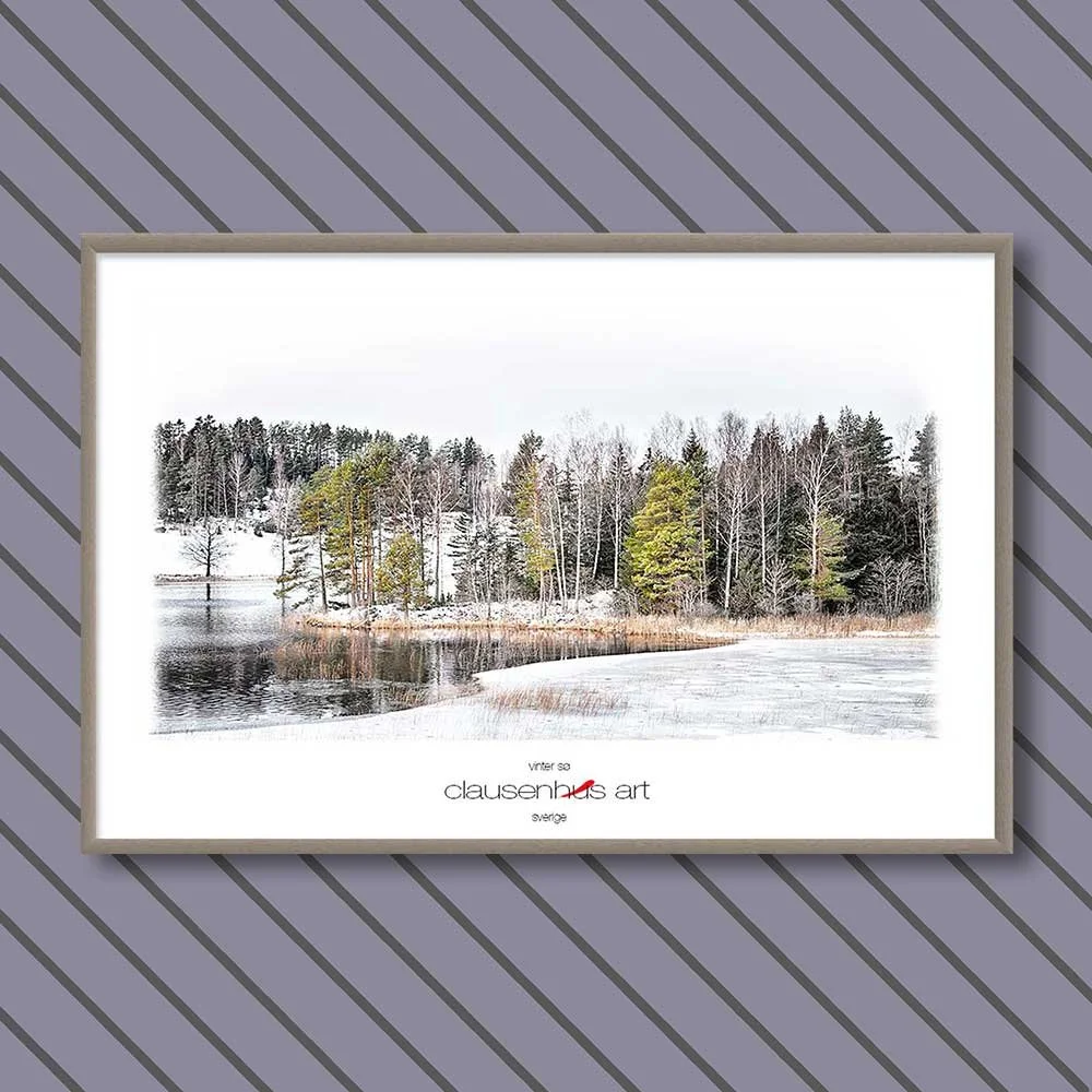 vinter-sø-copy.jpg