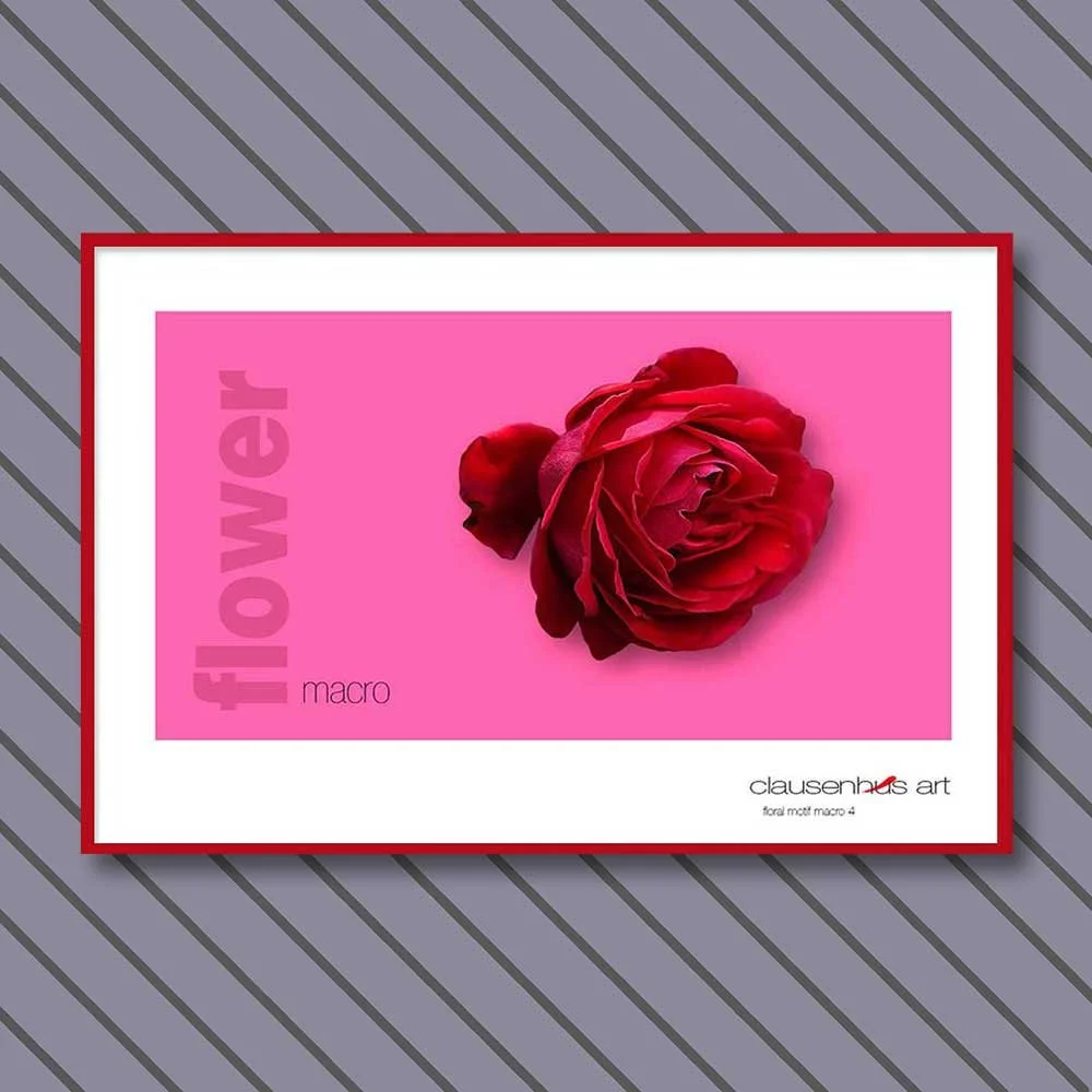 macro-4-copy.jpg