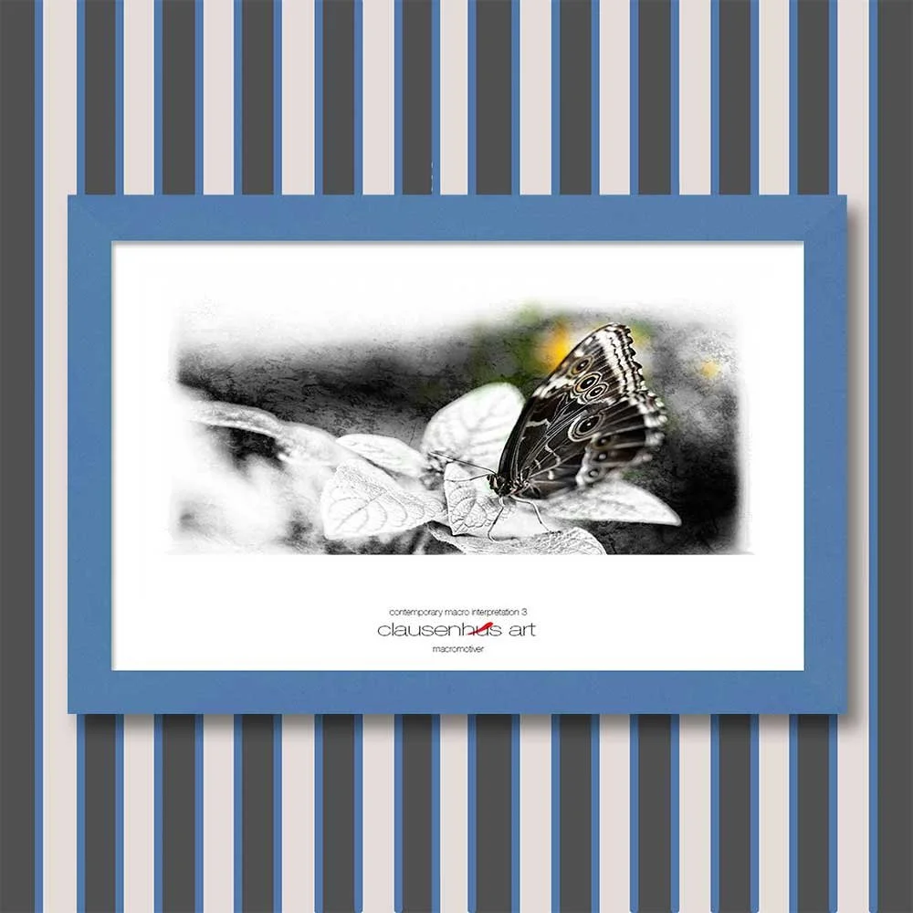 contemporary-macro-interpretation-3-copy.jpg
