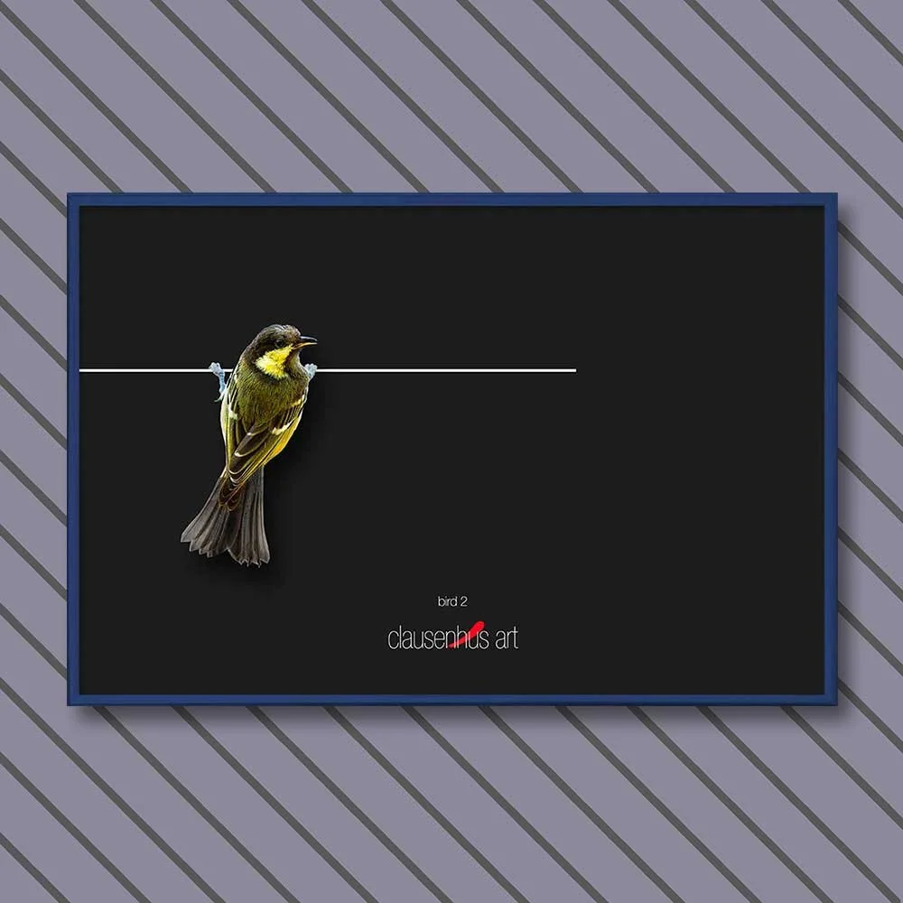 bird-2-copy.jpg