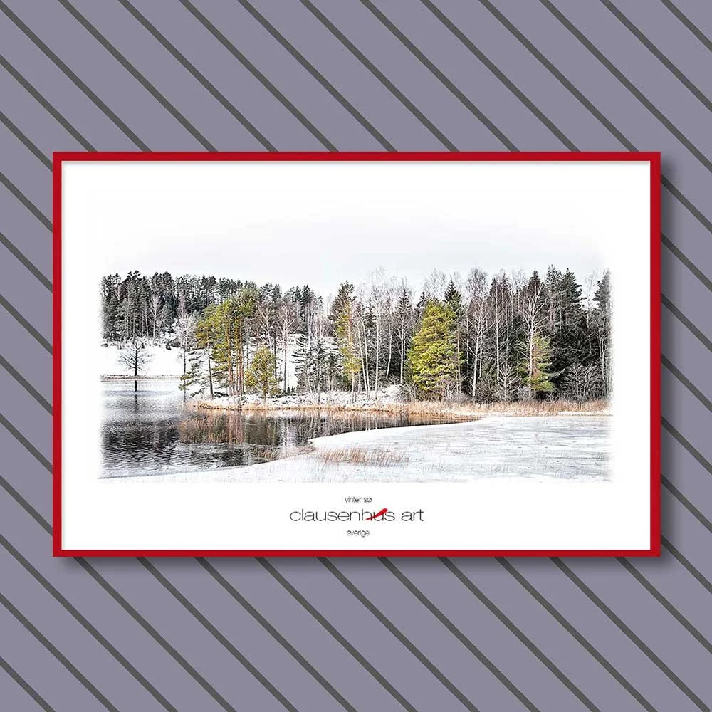 vinter-sø-copy.jpg