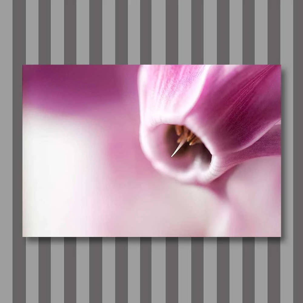 soft and pointed.jpg