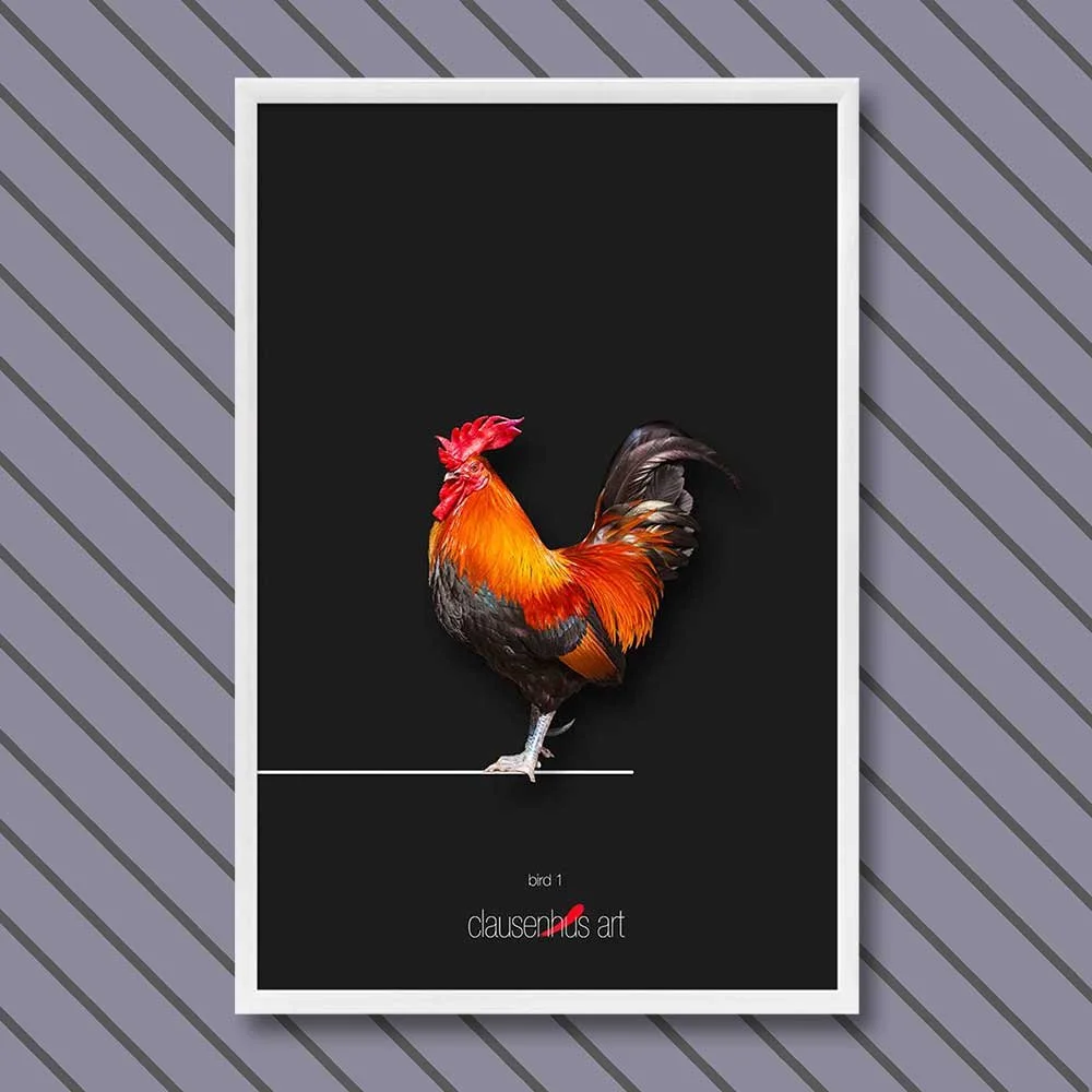 bird 1.jpg