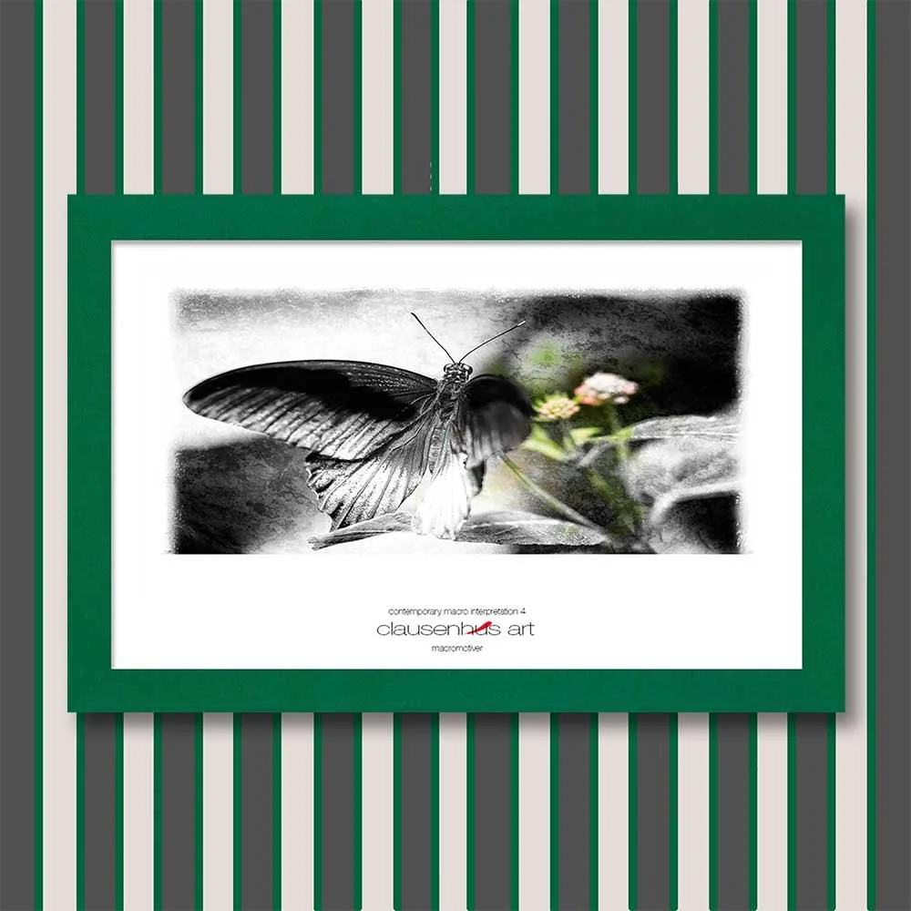 contemporary-macro-interpretation-4-copy.jpg
