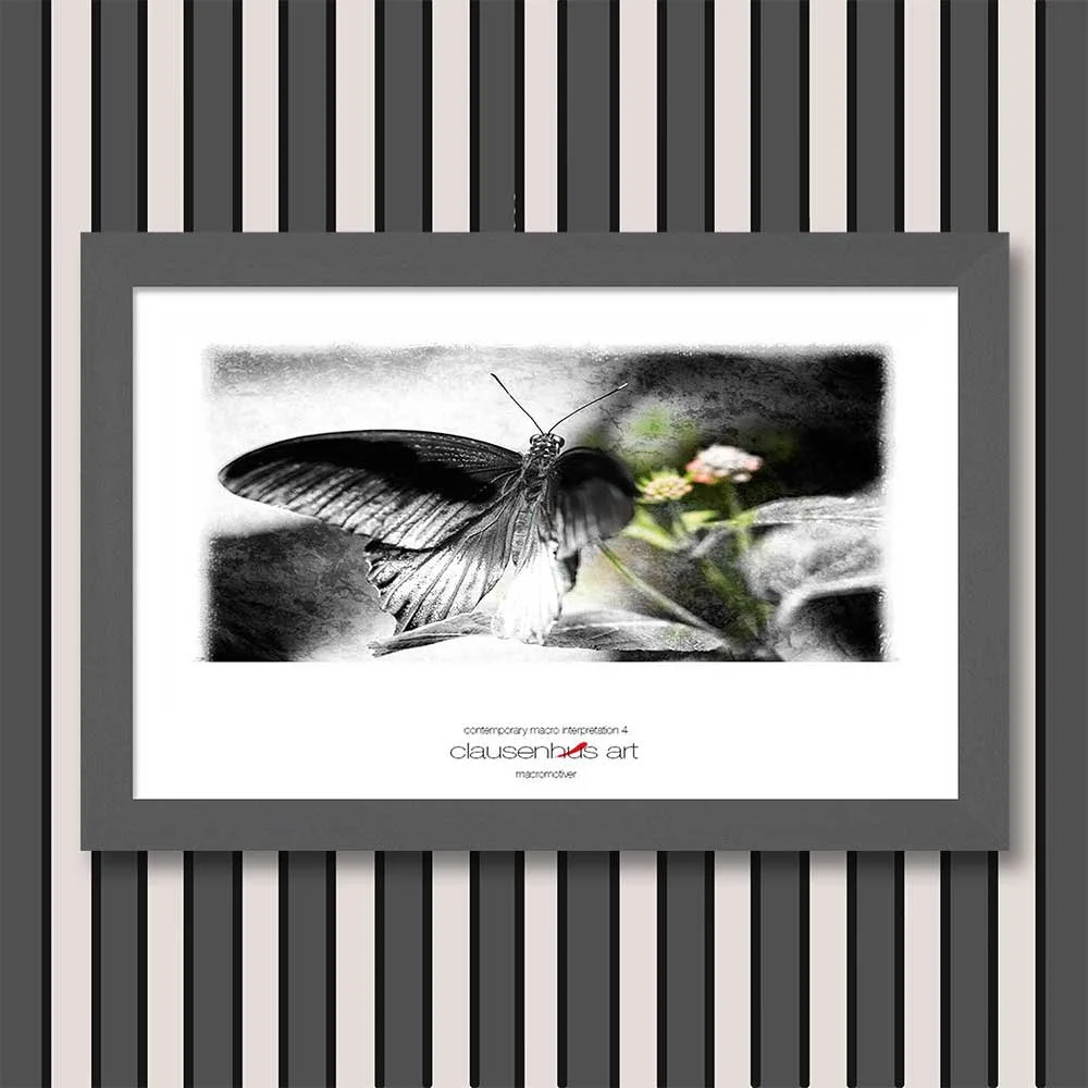 contemporary-macro-interpretation-4-copy.jpg