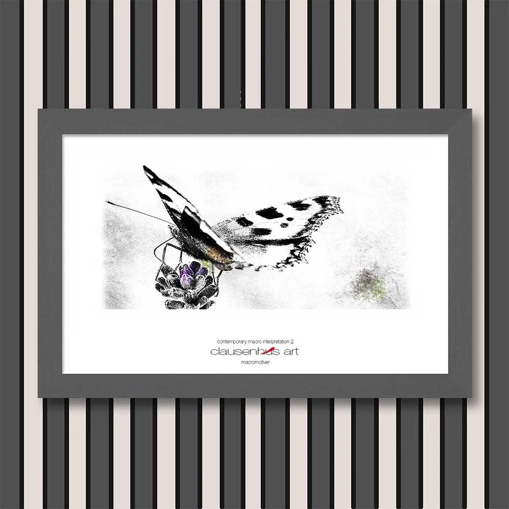 contemporary-macro-interpretation-2-copy.jpg