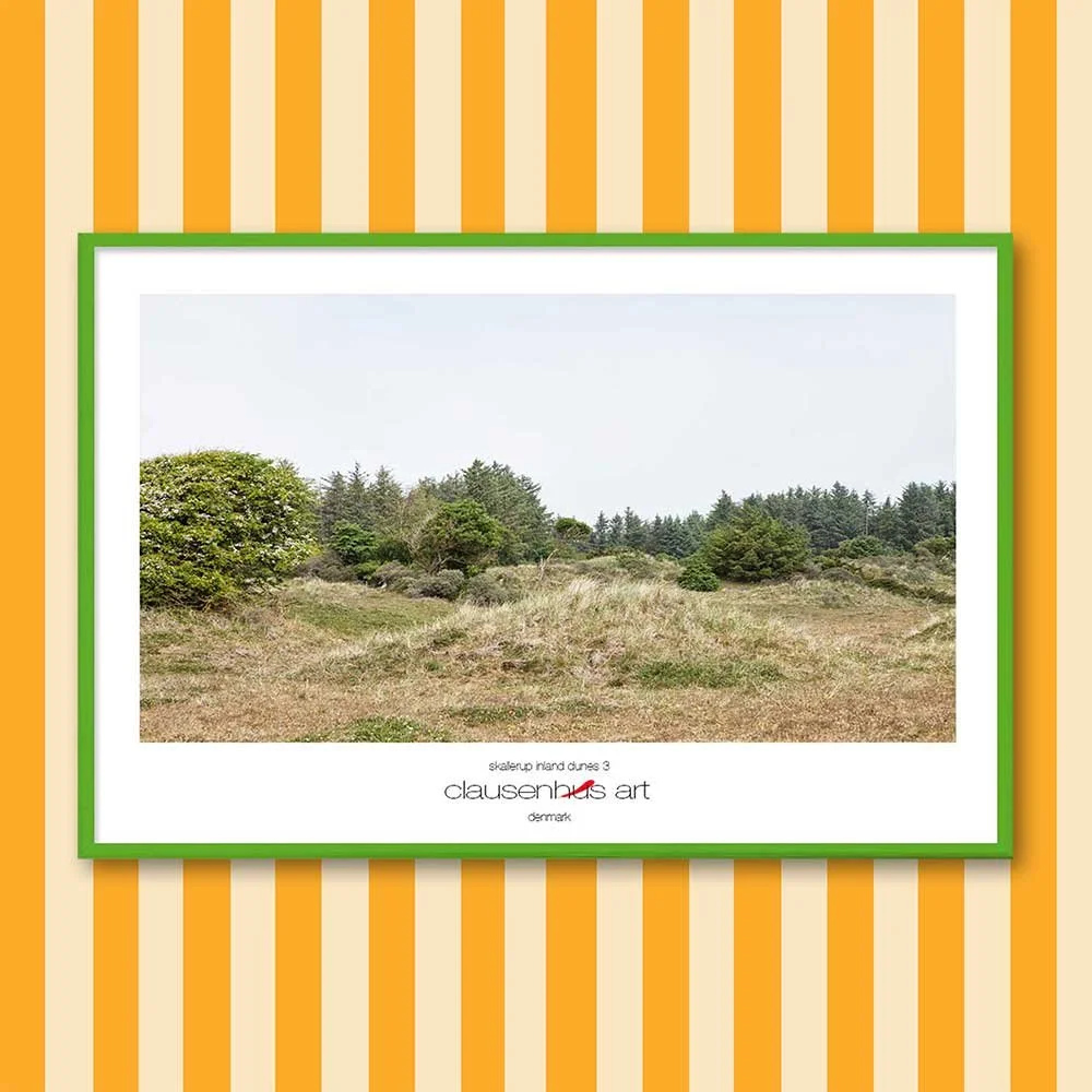 skallerup-inland-dunes-3.jpg