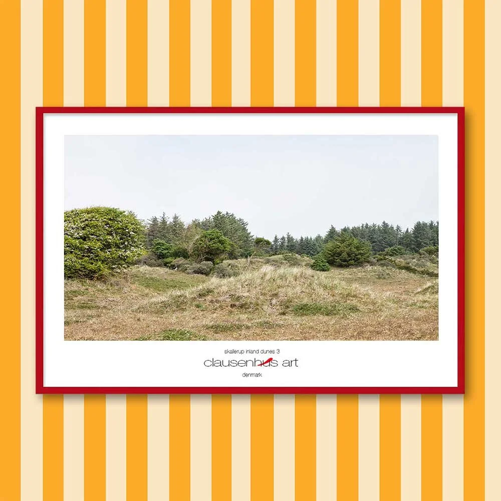 skallerup-inland-dunes-3.jpg