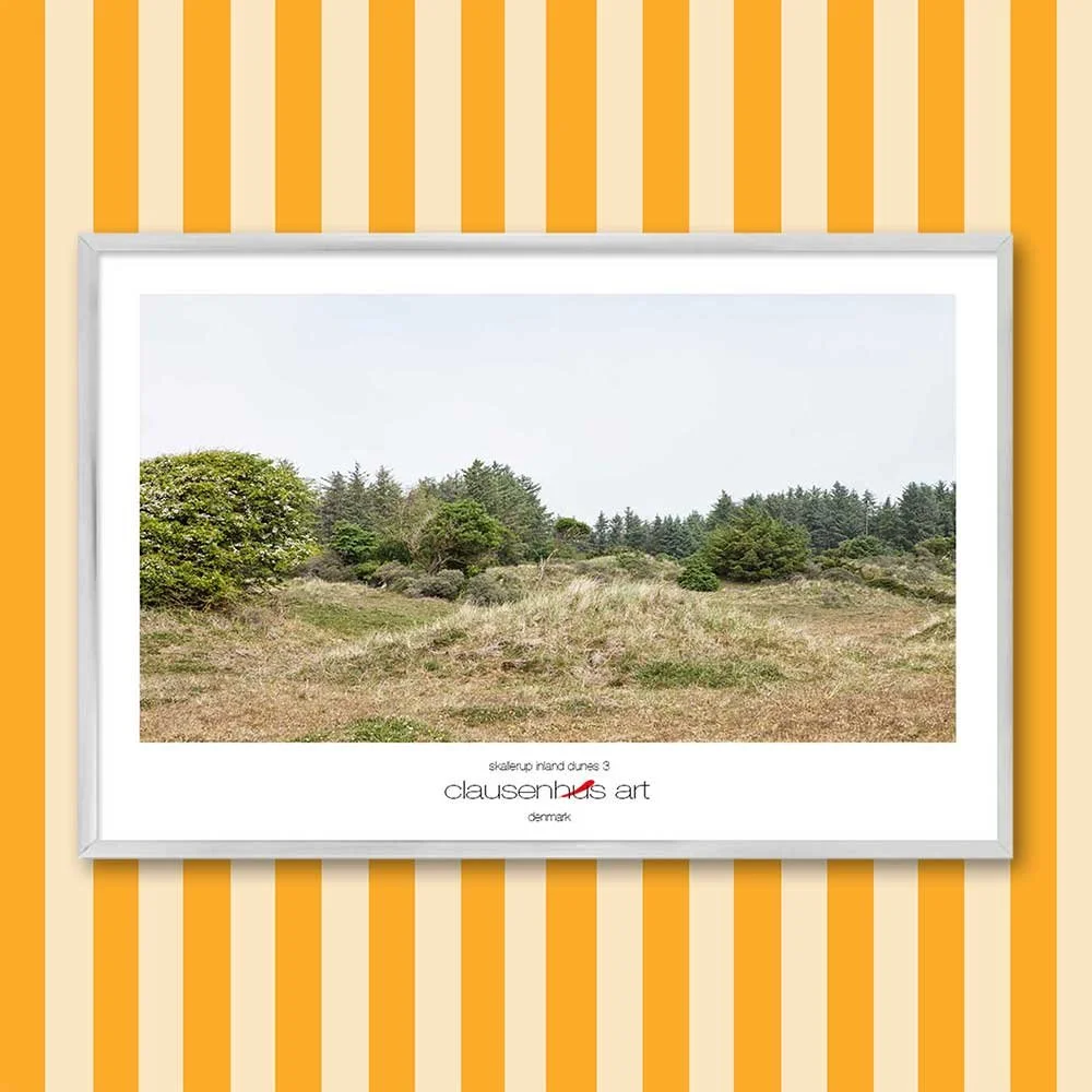 skallerup-inland-dunes-3.jpg