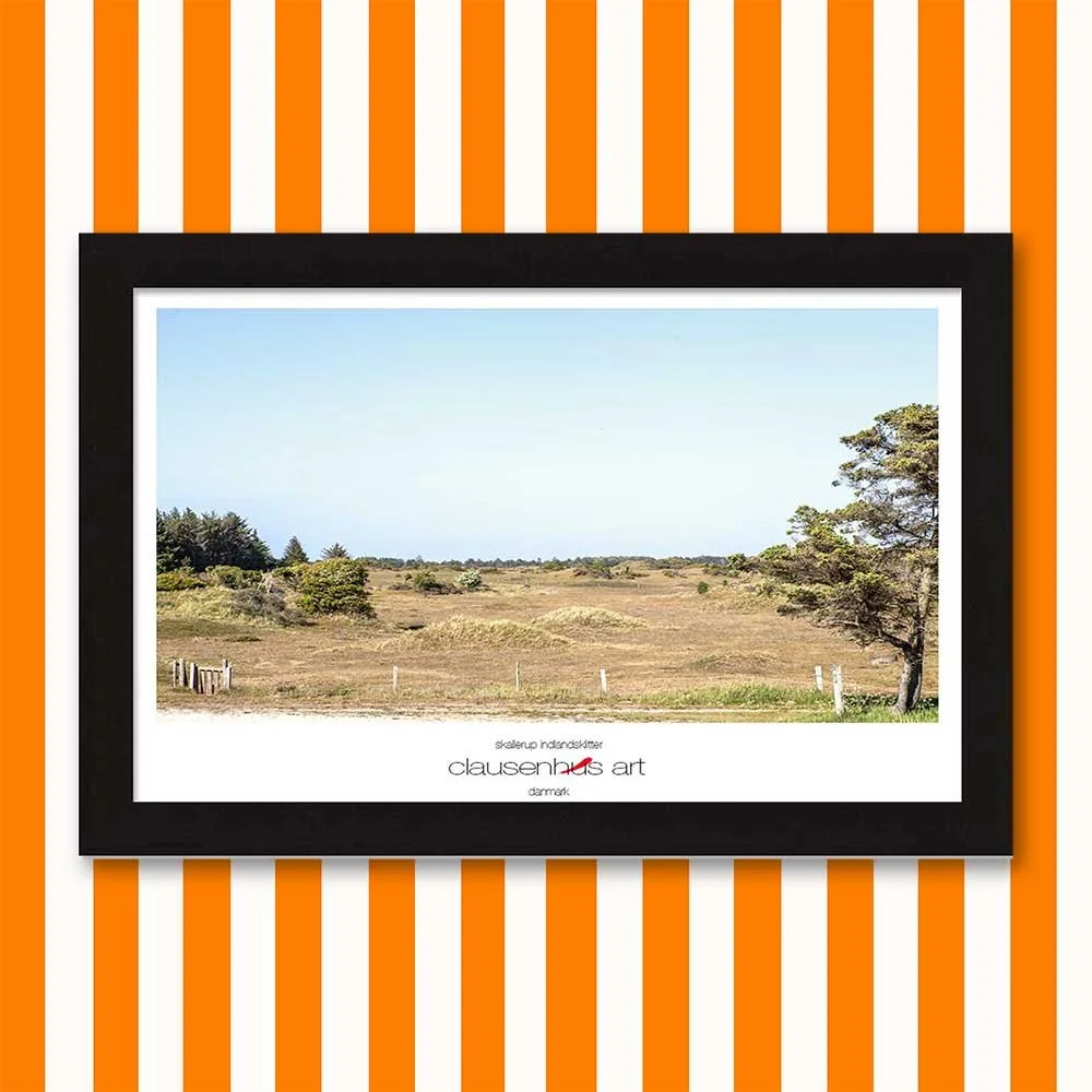 skallerup-inland-dunes-1.jpg