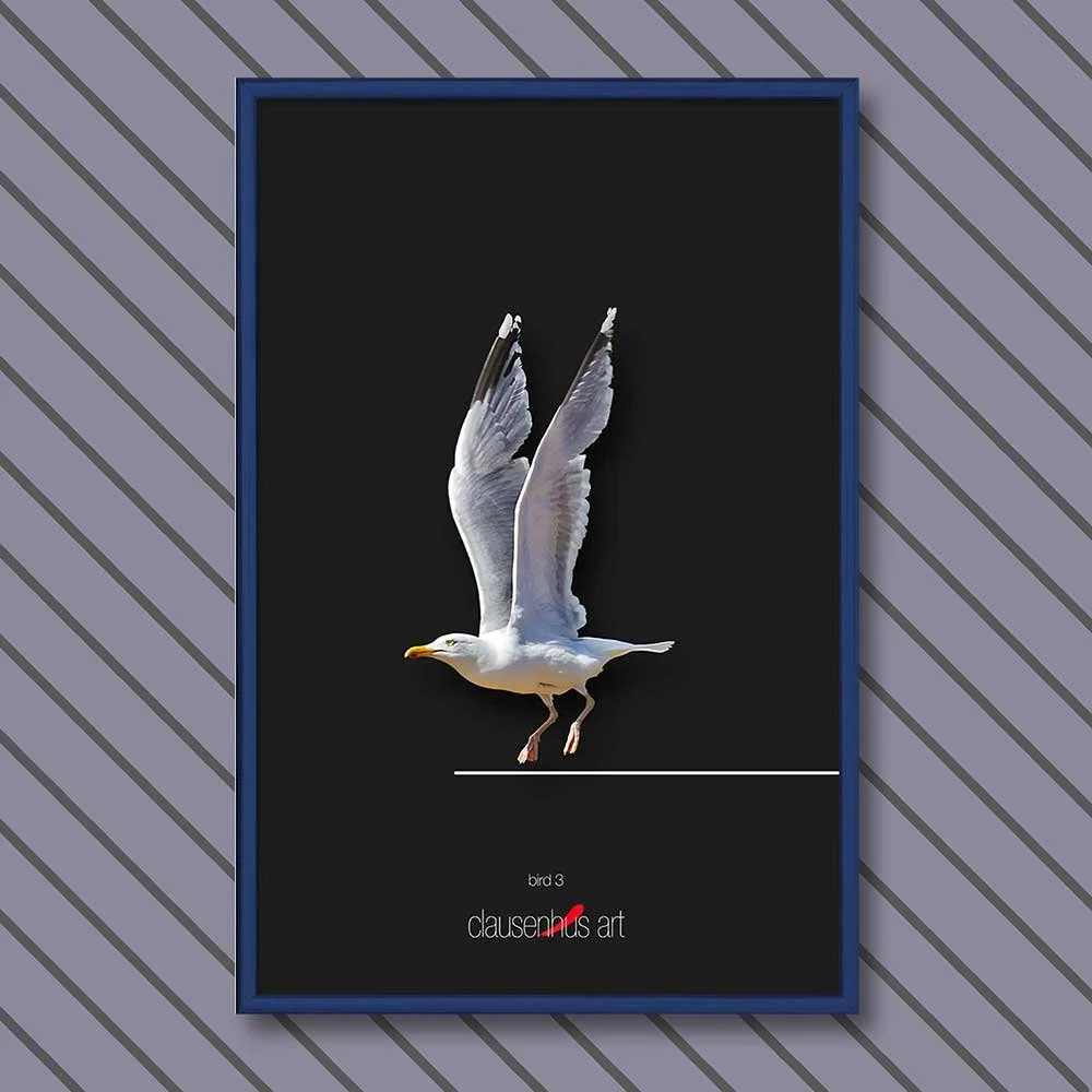bird-3-copy.jpg