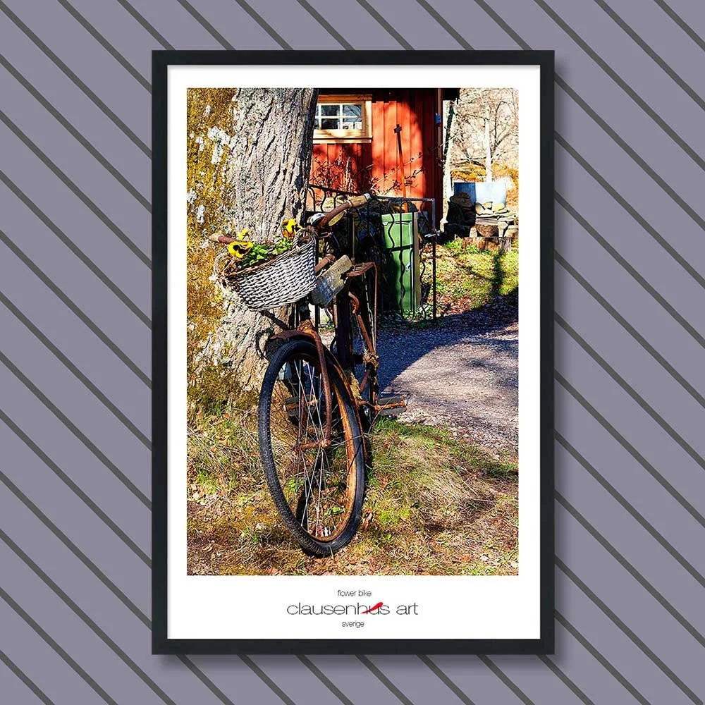 flower-bike-copy.jpg