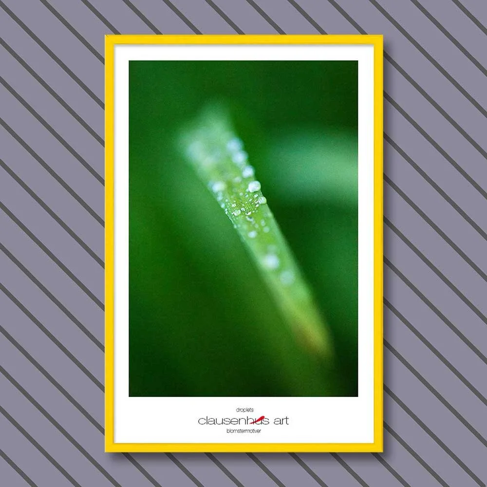 droplets-copy.jpg