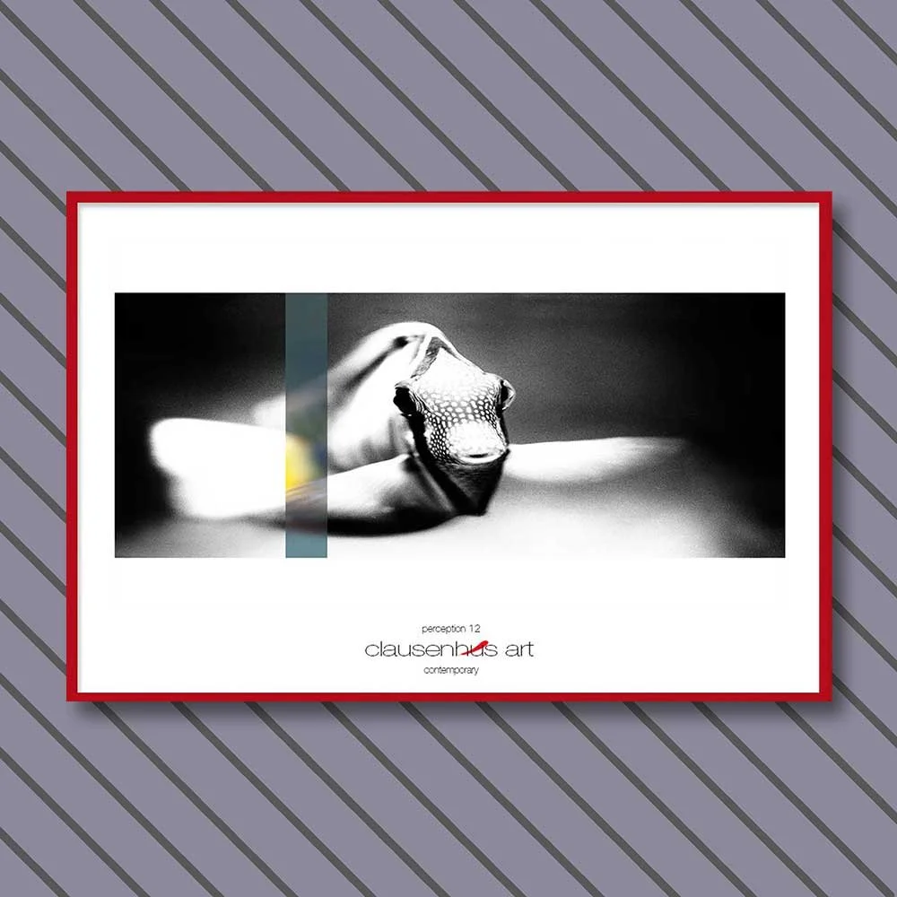 perception-12-copy.jpg