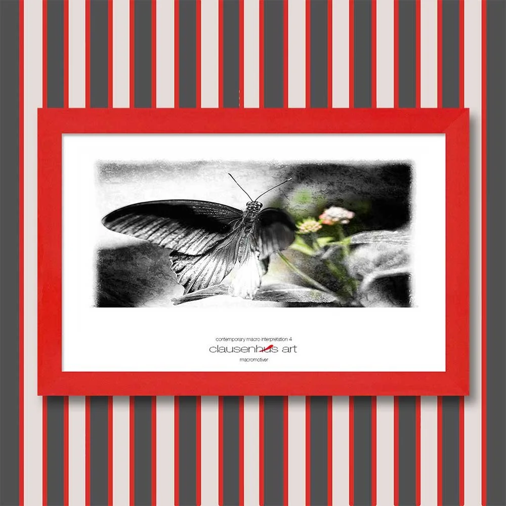contemporary-macro-interpretation-4-copy.jpg