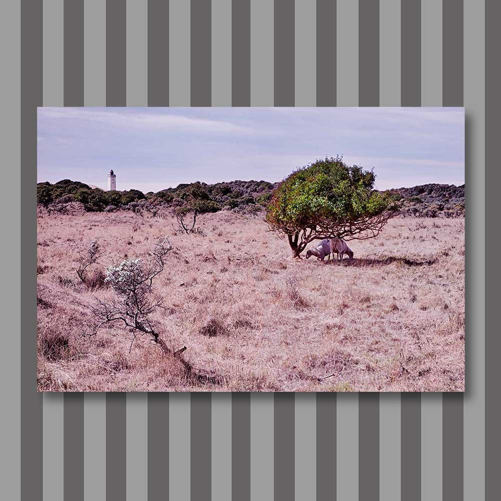 title: west coast interpretation 3
