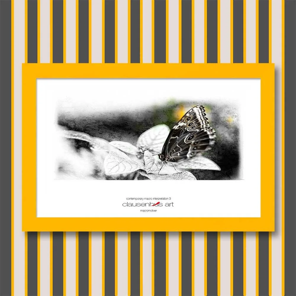 contemporary-macro-interpretation-3-copy.jpg
