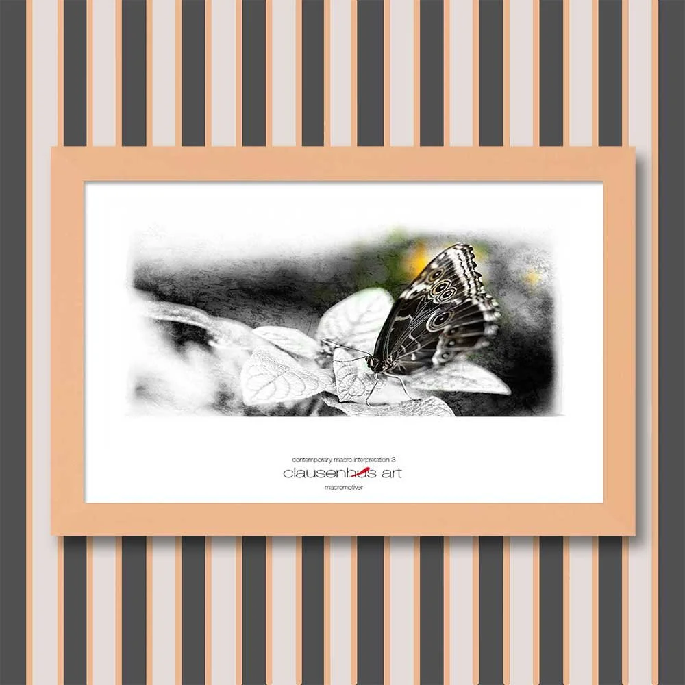 contemporary-macro-interpretation-3-copy.jpg
