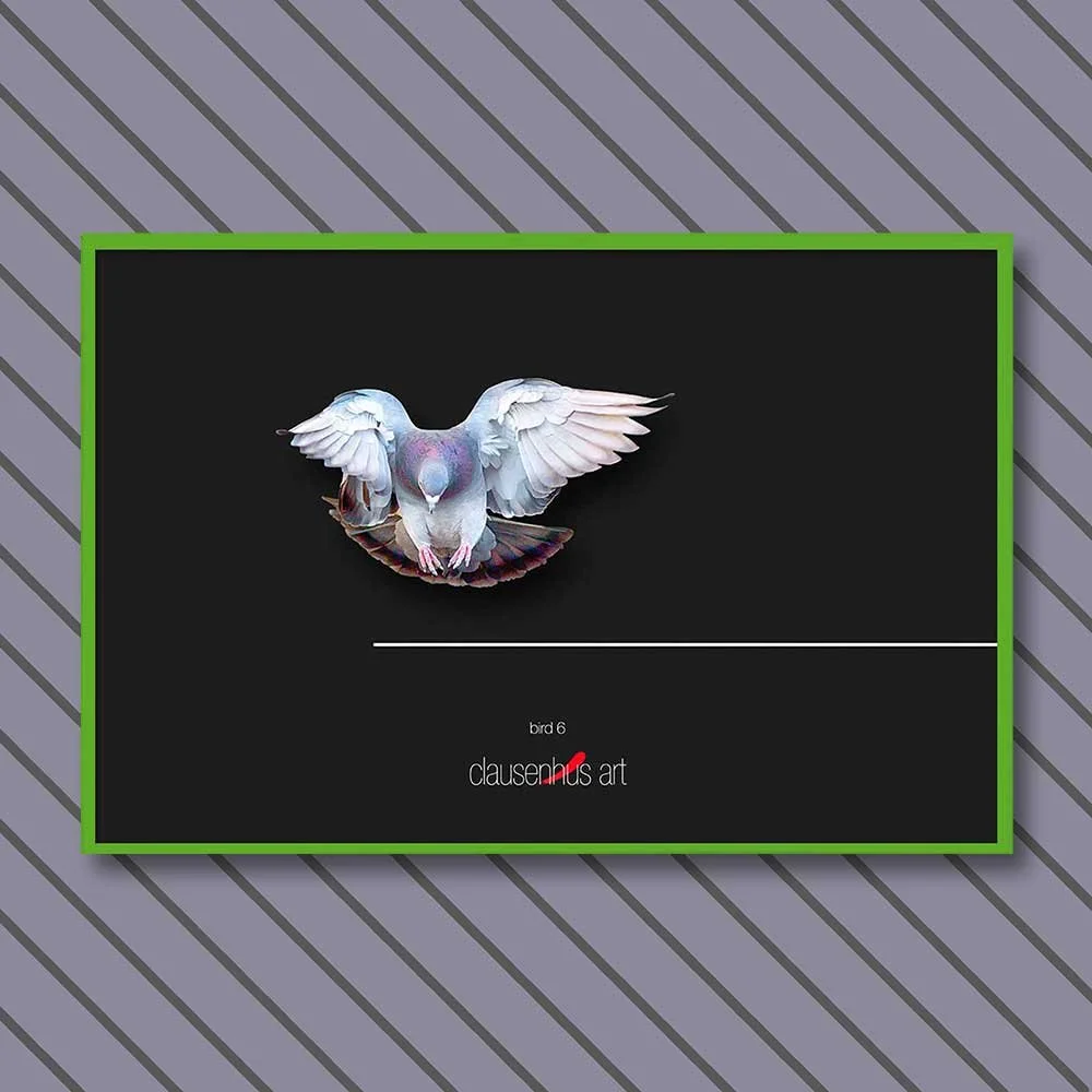bird-6-copy.jpg