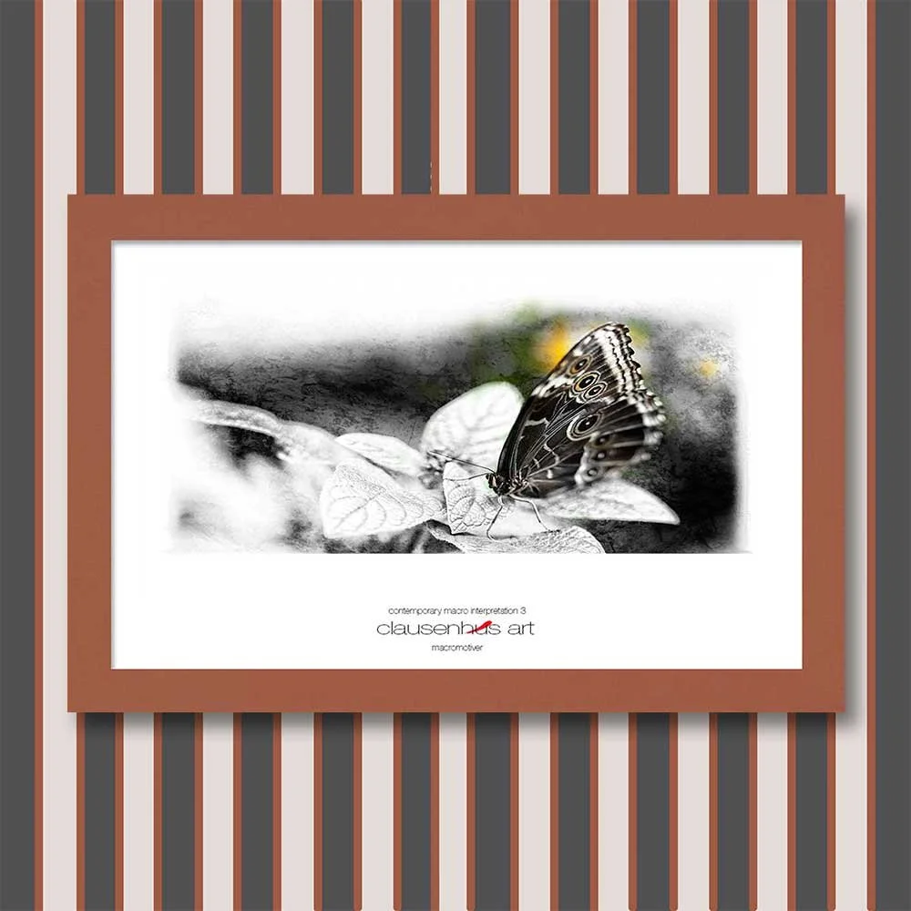 contemporary-macro-interpretation-3-copy.jpg