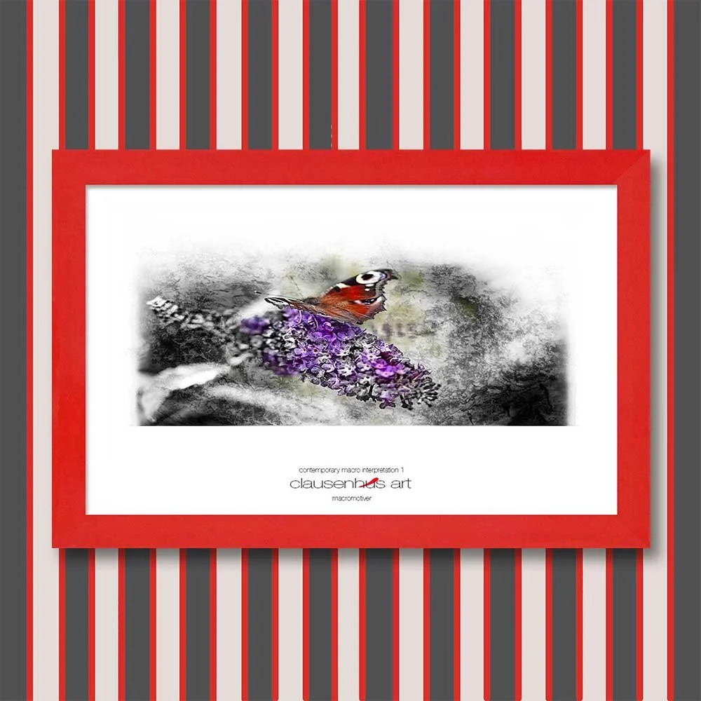 contemporary-macro-interpretation-1-copy.jpg
