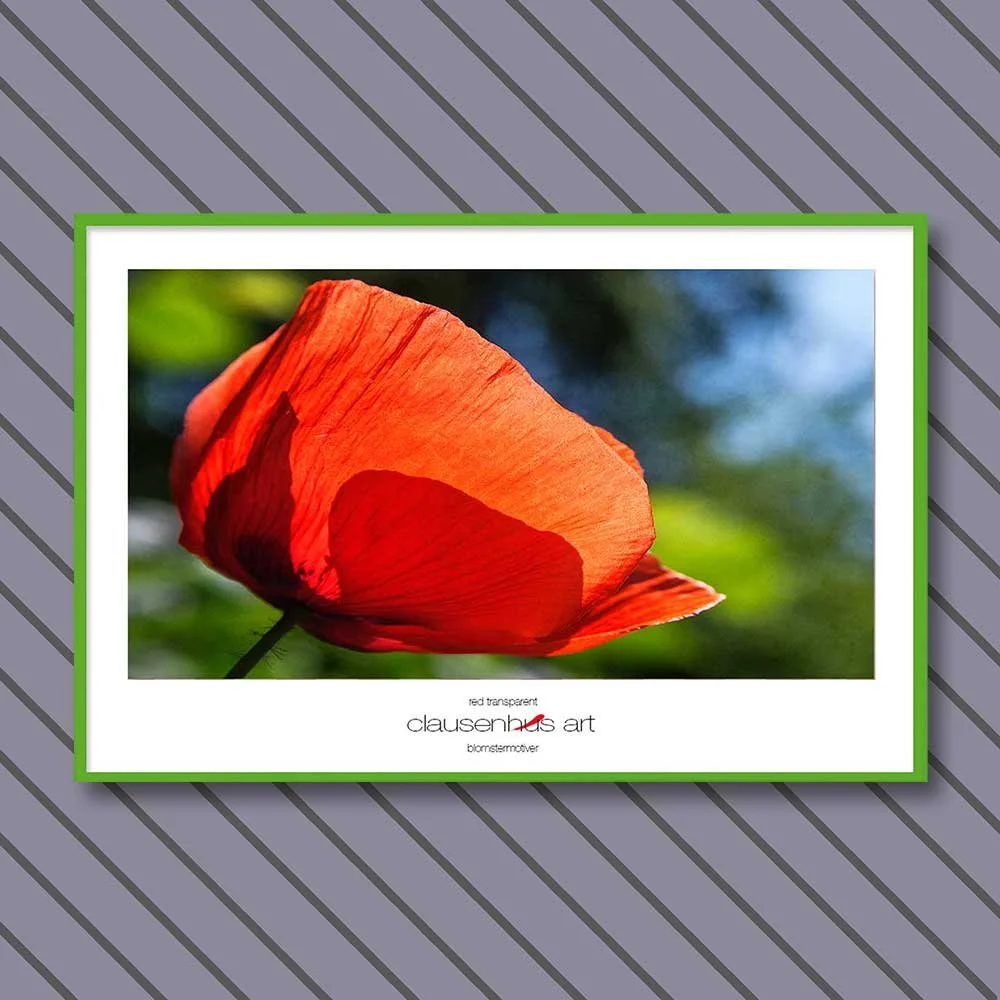 red-transparent-copy.jpg