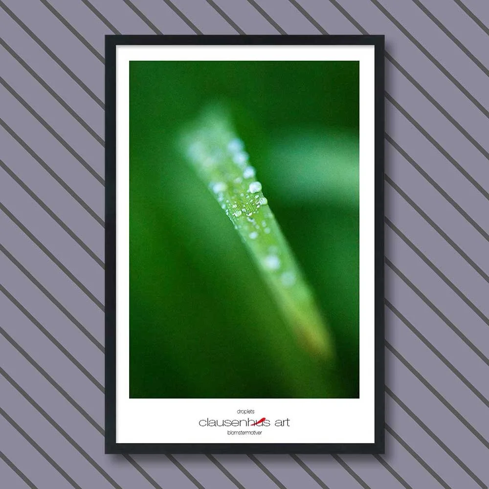 droplets-copy.jpg