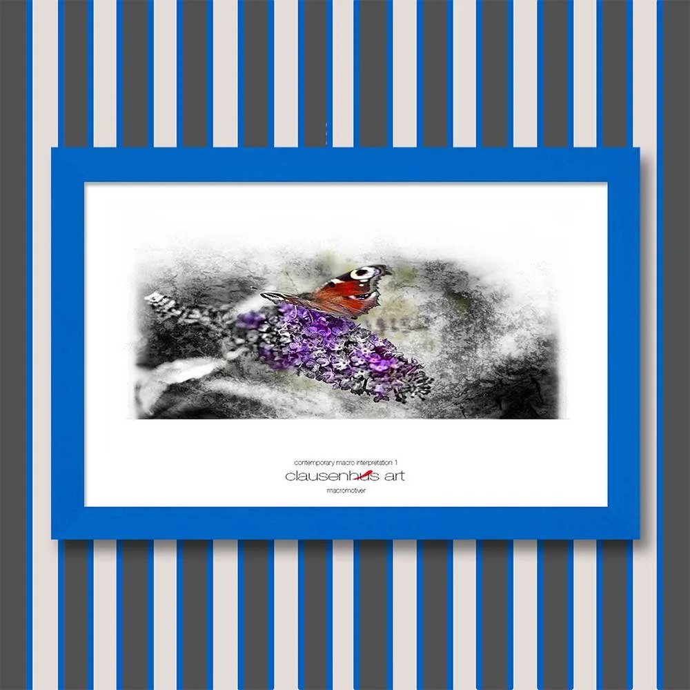 contemporary-macro-interpretation-1-copy.jpg