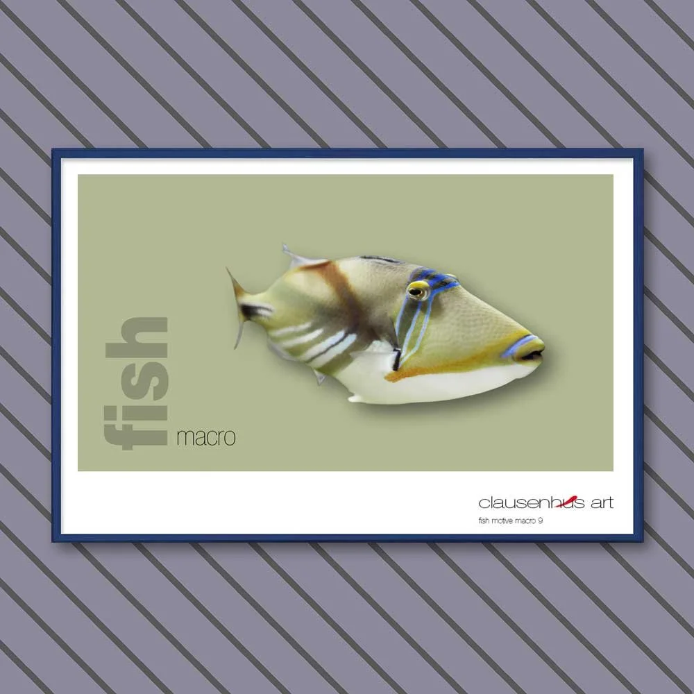 fish 9.jpg