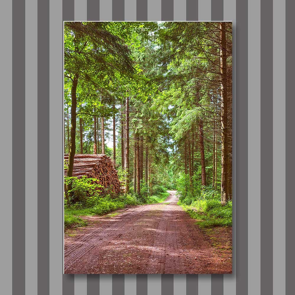 title: the way in