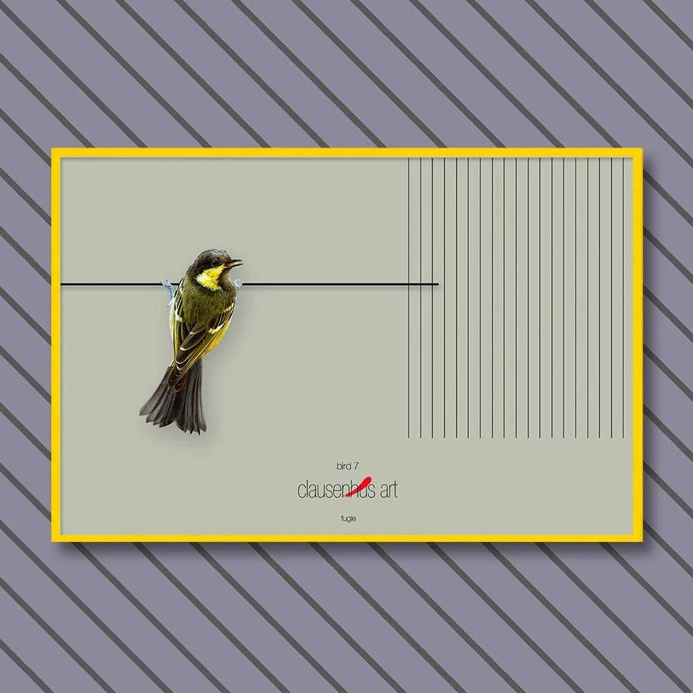bird-7-copy.jpg