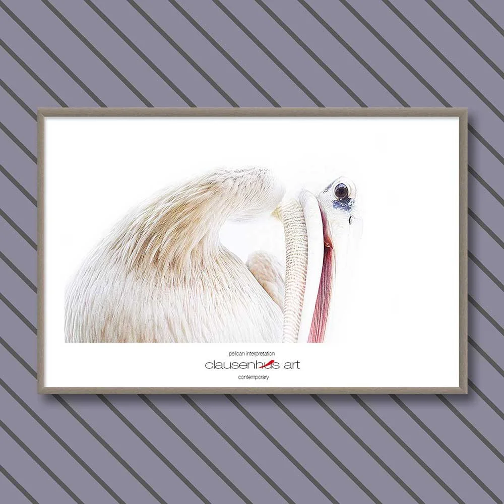 pelican-interpretation.jpg