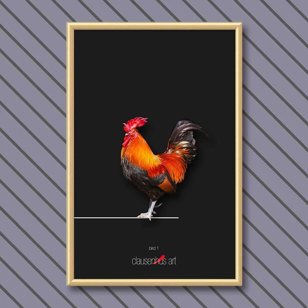 bird-1-copy.jpg