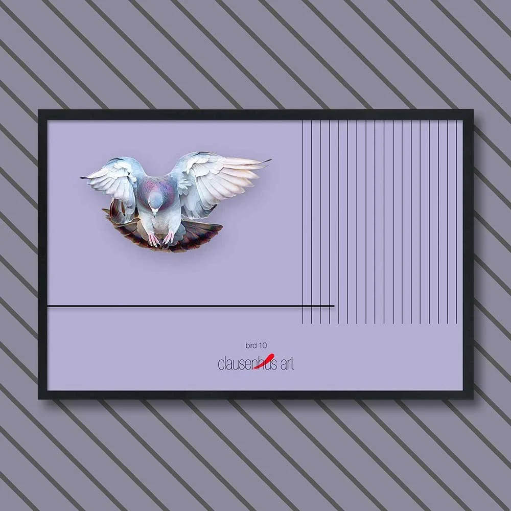 bird-10.jpg