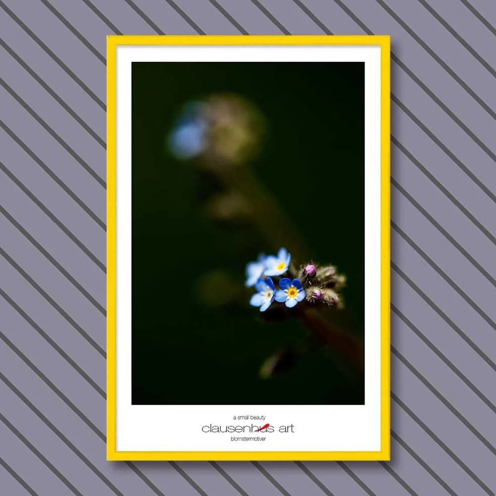 a-small-beauty-copy.jpg