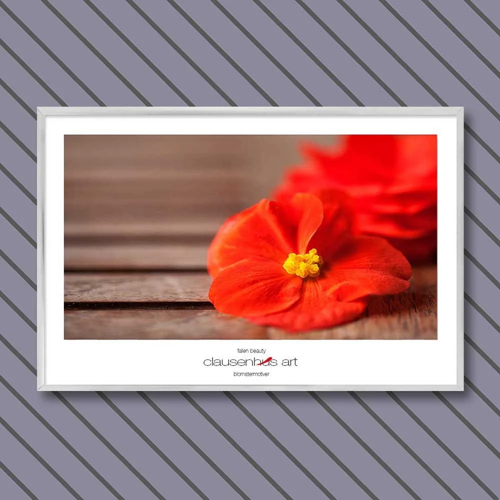fallen-beauty-copy.jpg