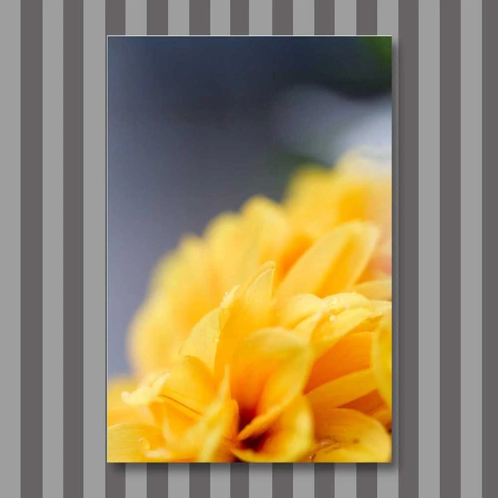 yellow waves.jpg