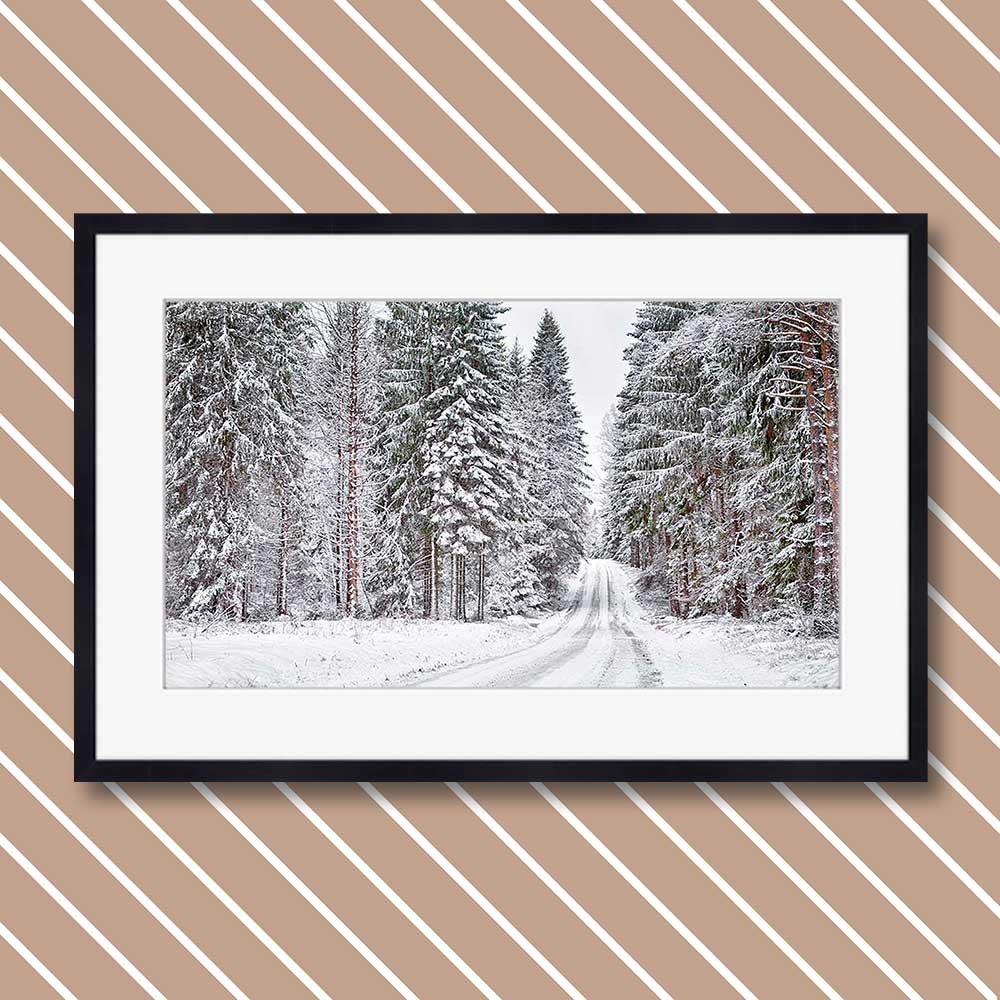 title: the forest without end