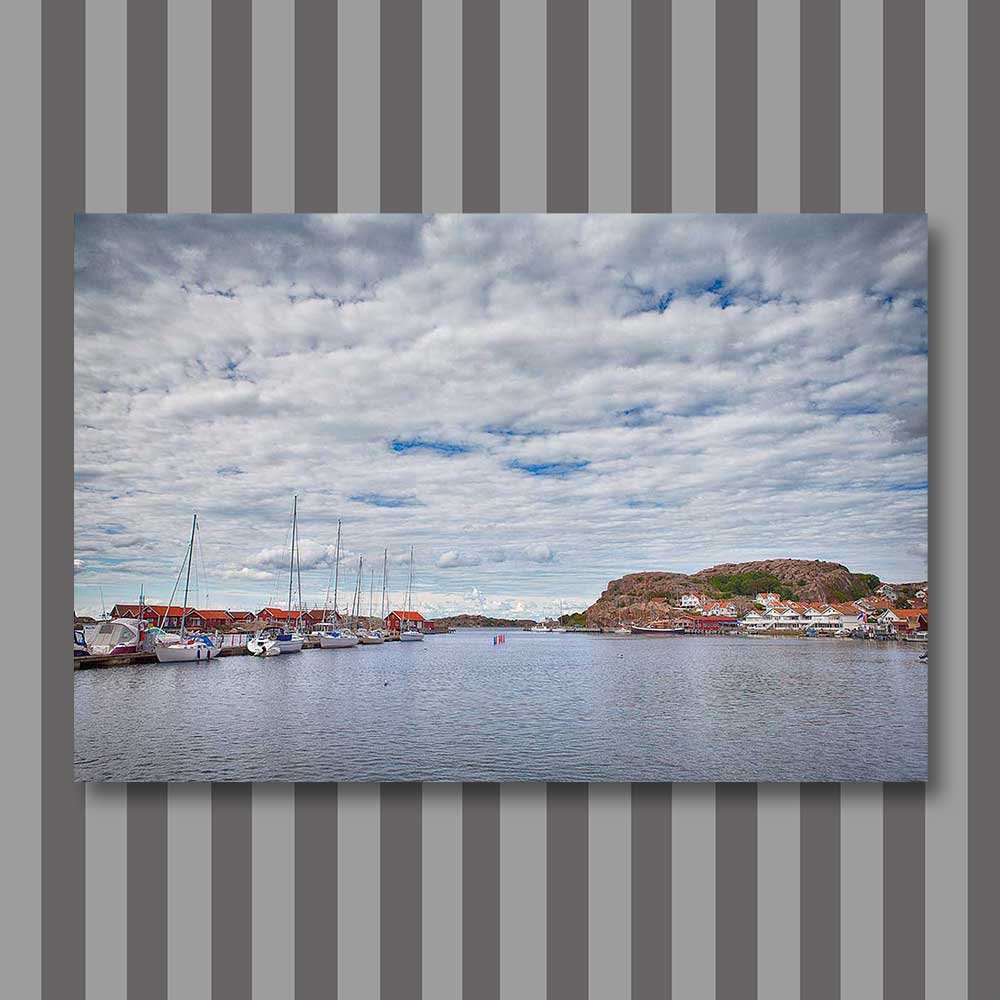 title: the road to the coast