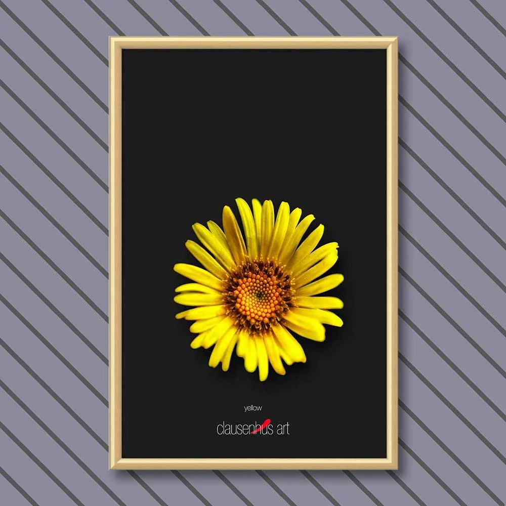 yellow-copy.jpg