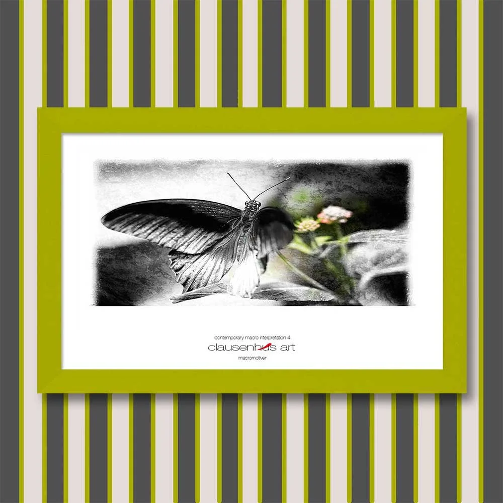 contemporary-macro-interpretation-4-copy.jpg