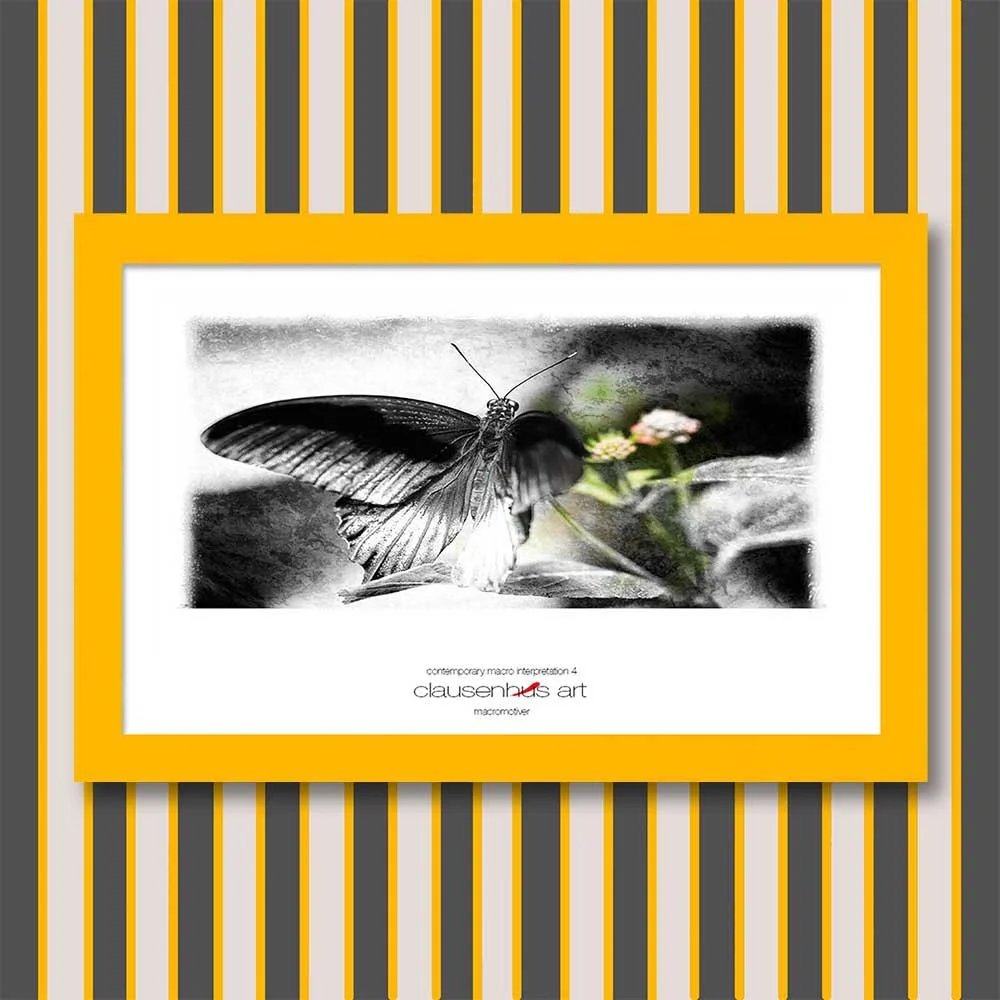 contemporary-macro-interpretation-4-copy.jpg