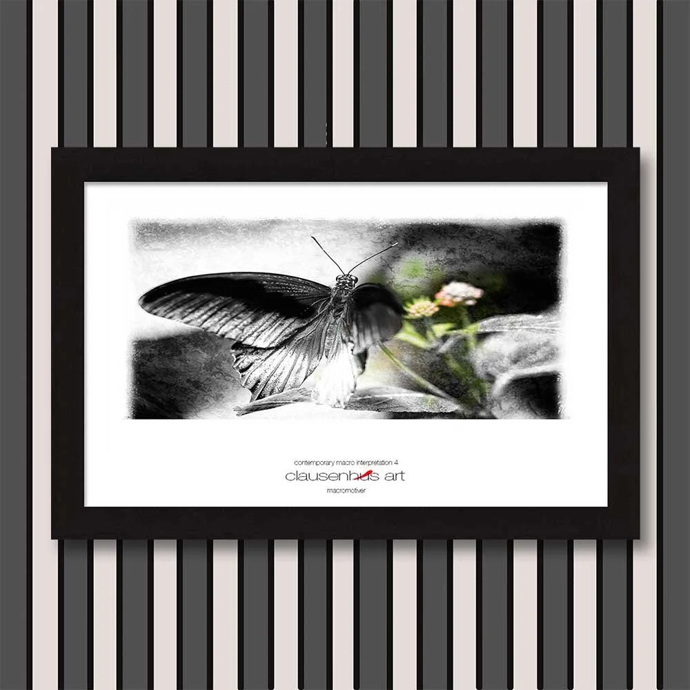 contemporary-macro-interpretation-4-copy.jpg