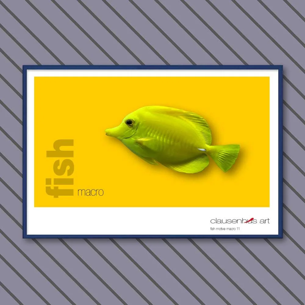 fish 11.jpg