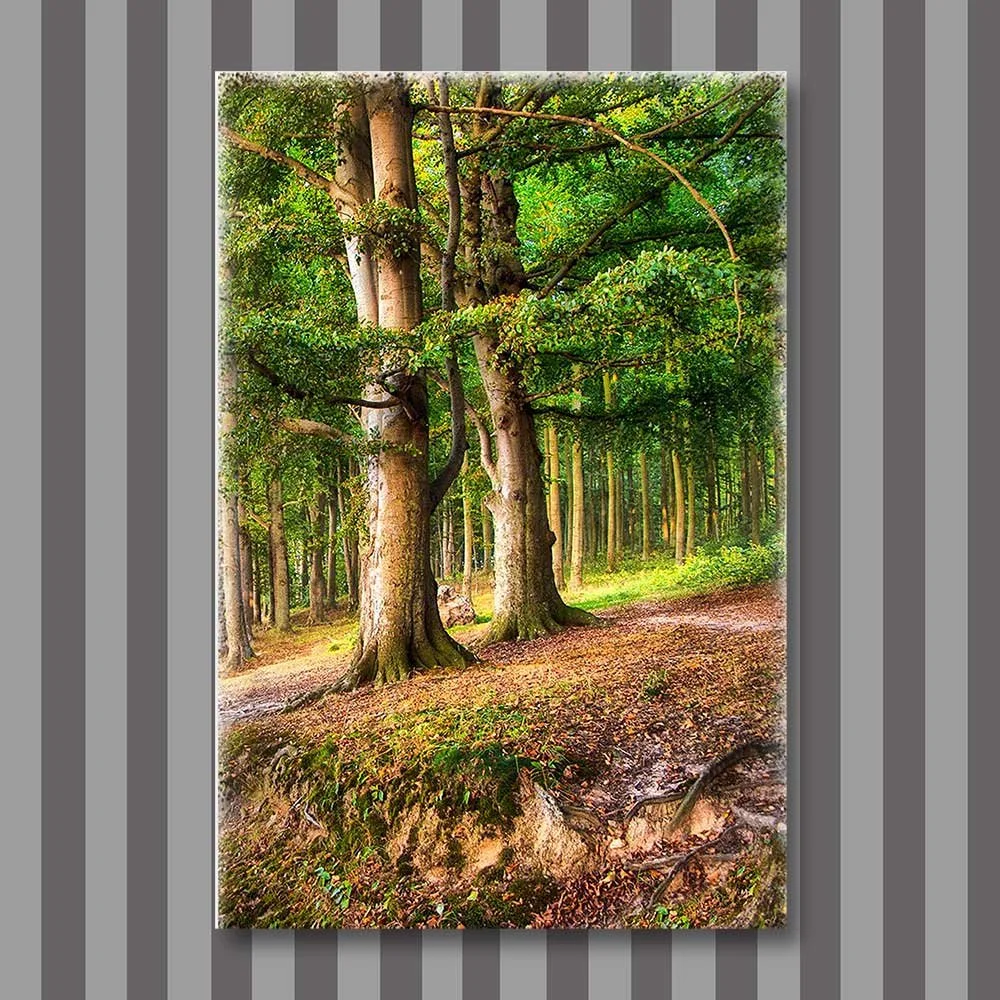 title: under the trees