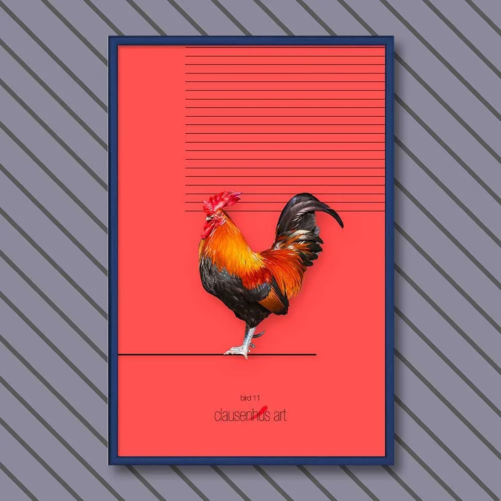 bird-11-copy.jpg