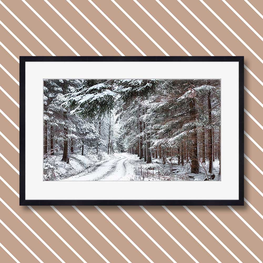 title: deep in the swedish forest