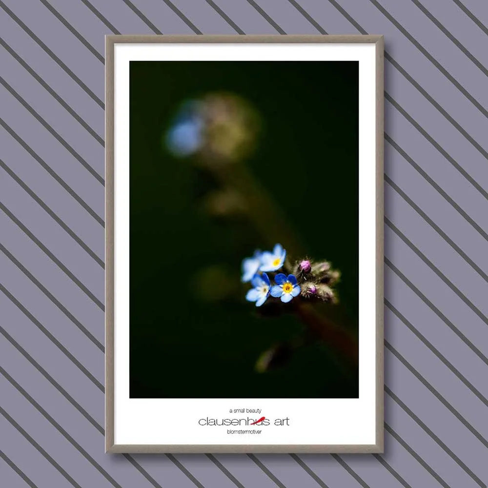 a-small-beauty-copy.jpg