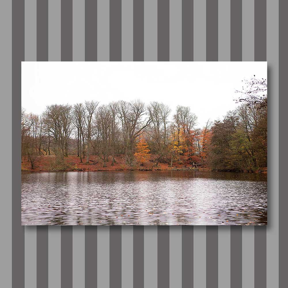autumn colors.jpg